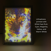 EPAX Fast PLA+ Filament, CMYK Lithophane Bundle (4x1KG) - New Release!